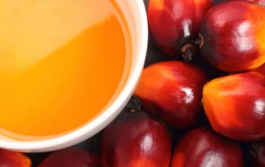 Tin tức nguyên liệu công nghiệp 25/08